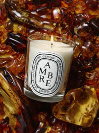 DIPTYQUE - Amber Small Candle