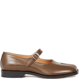 Brown shoes, front view