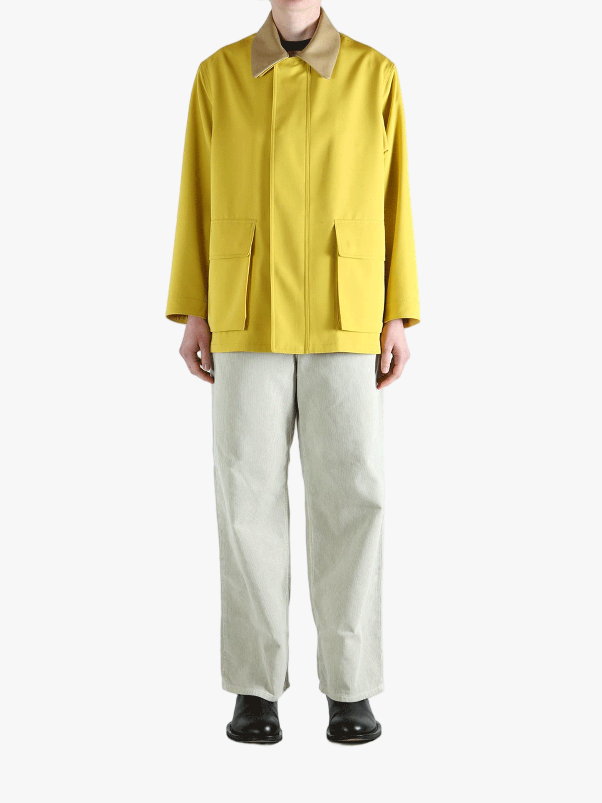 Yellow jacket,full body view