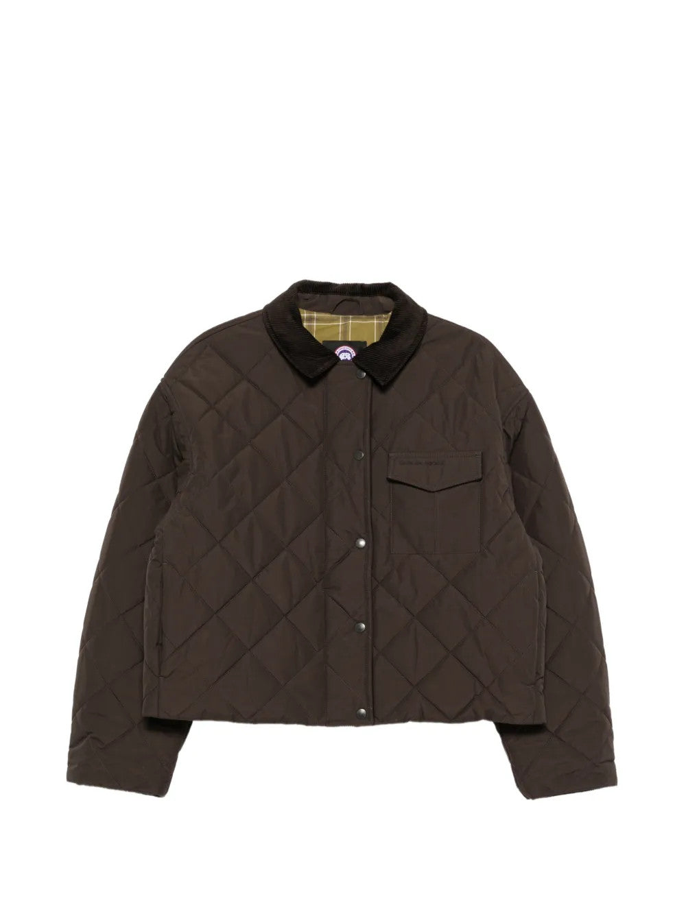 Brown jacket, front view