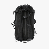 Black backpack, back view