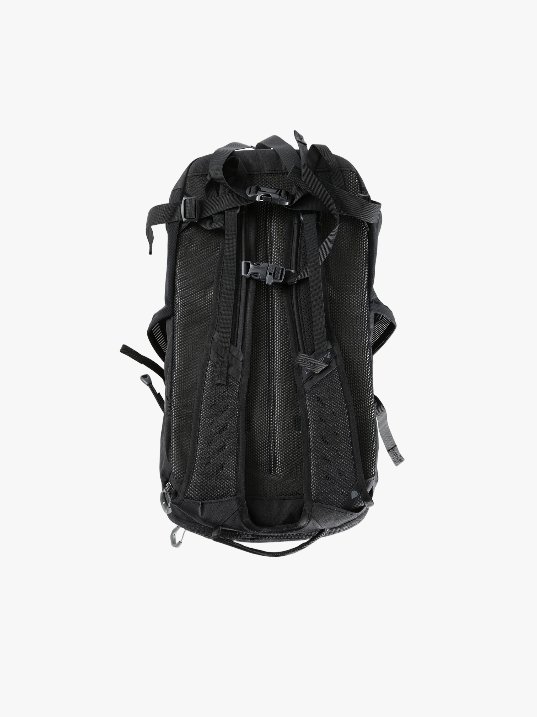 Black backpack, back view