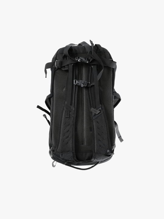 Black backpack, back view