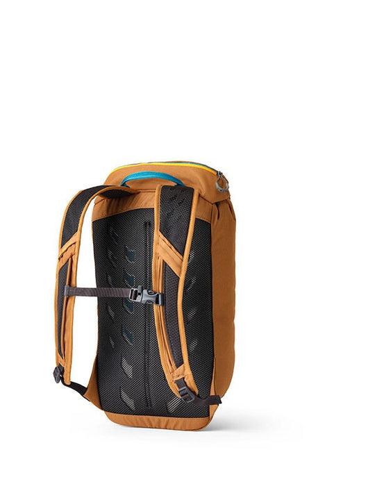 Brown backpack,back view