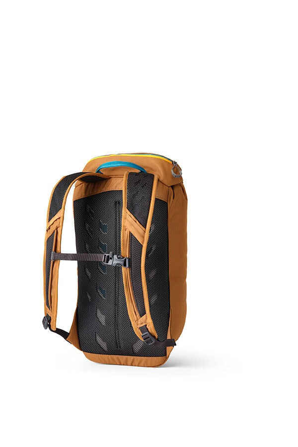 Brown backpack,back view