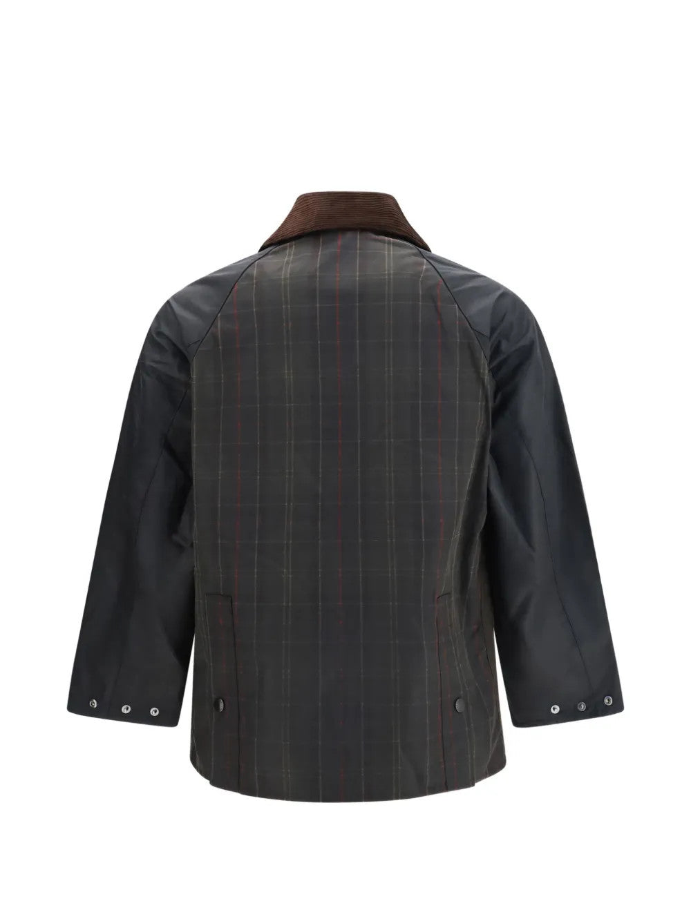 Brown jacket, back view