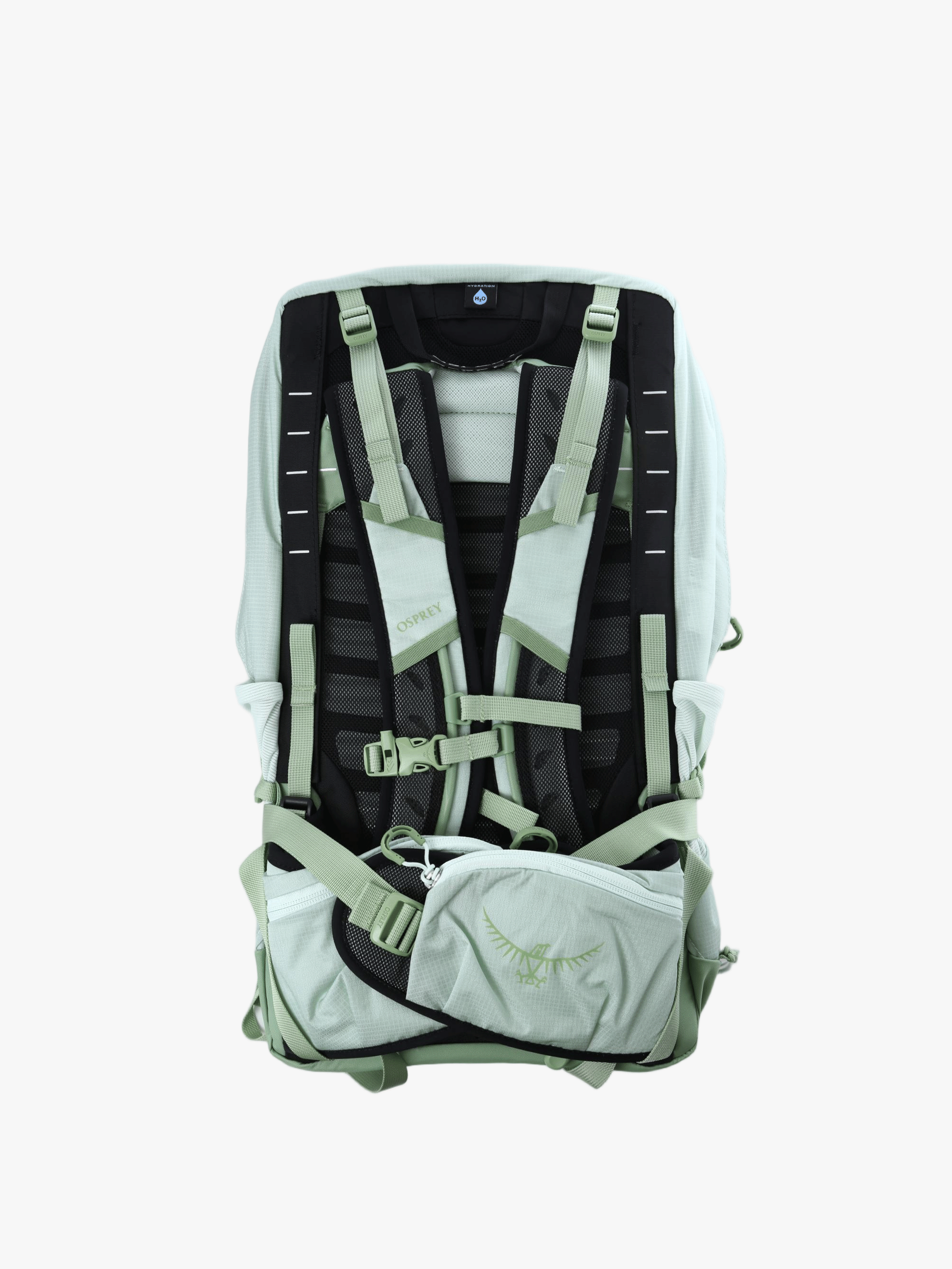 Green bag, back view