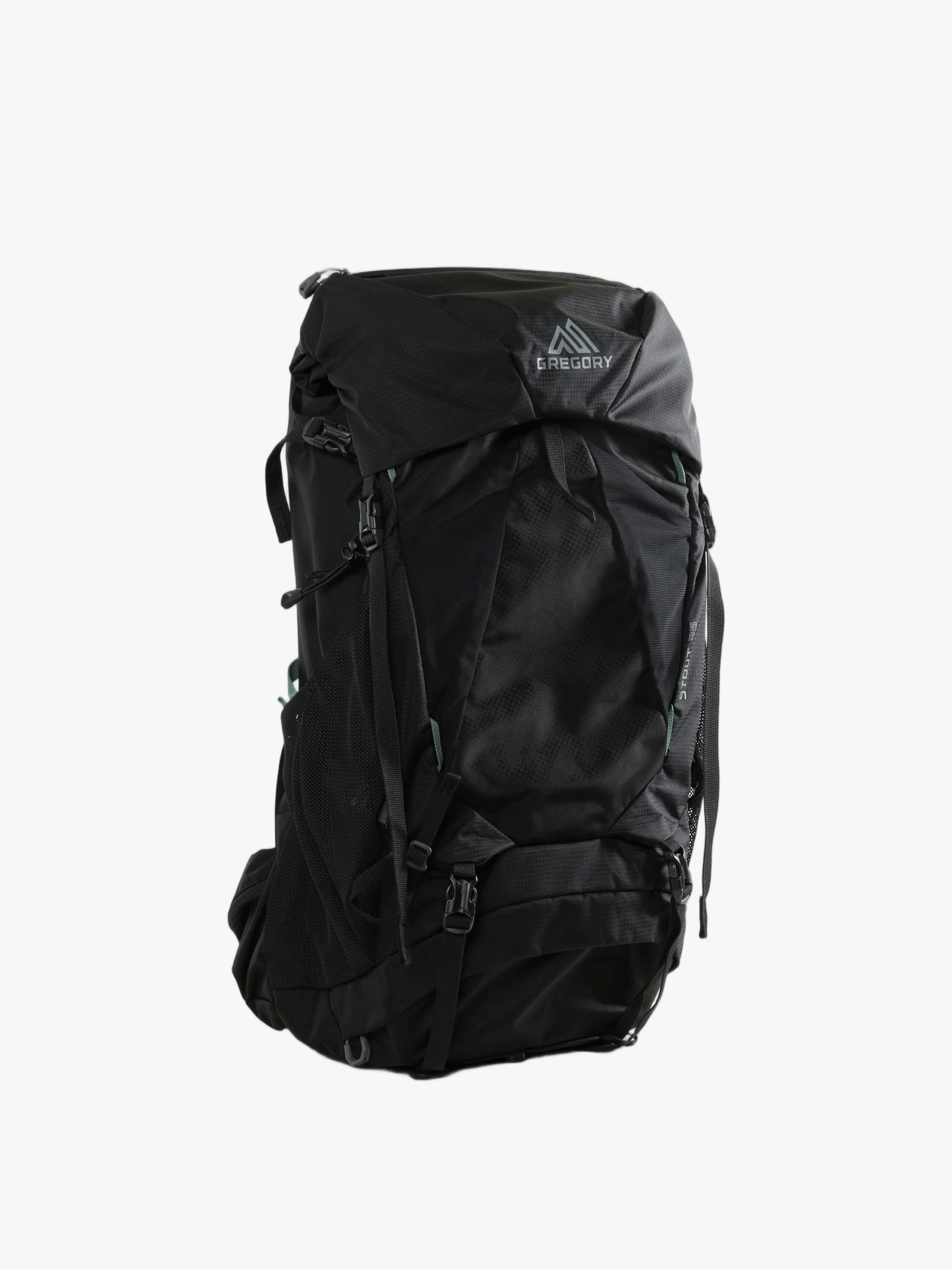 Black bag, back view