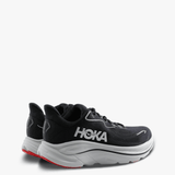 Black shoes, side view