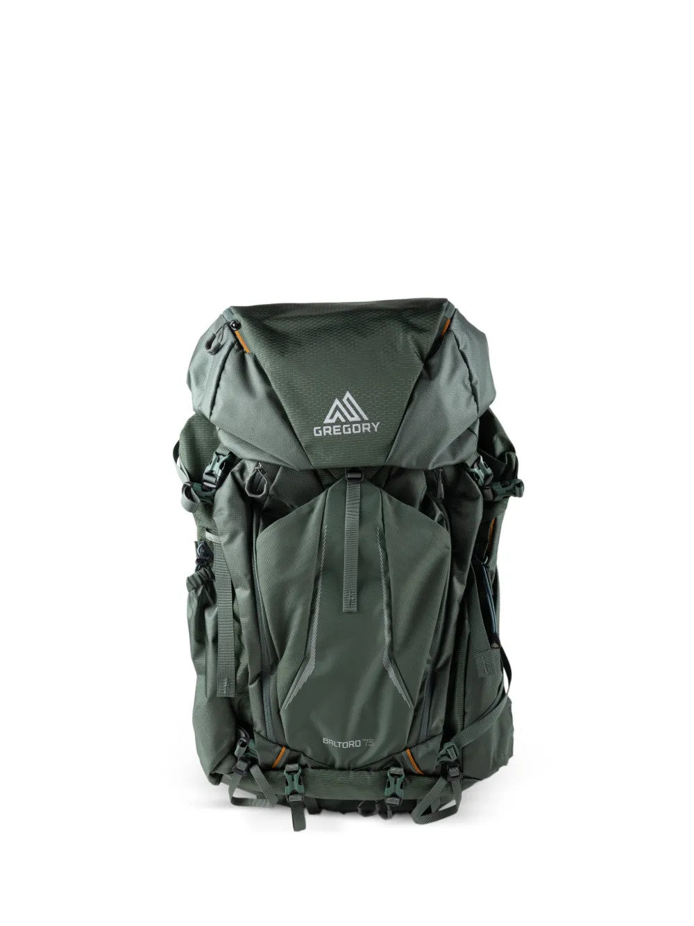 Green bag, front view