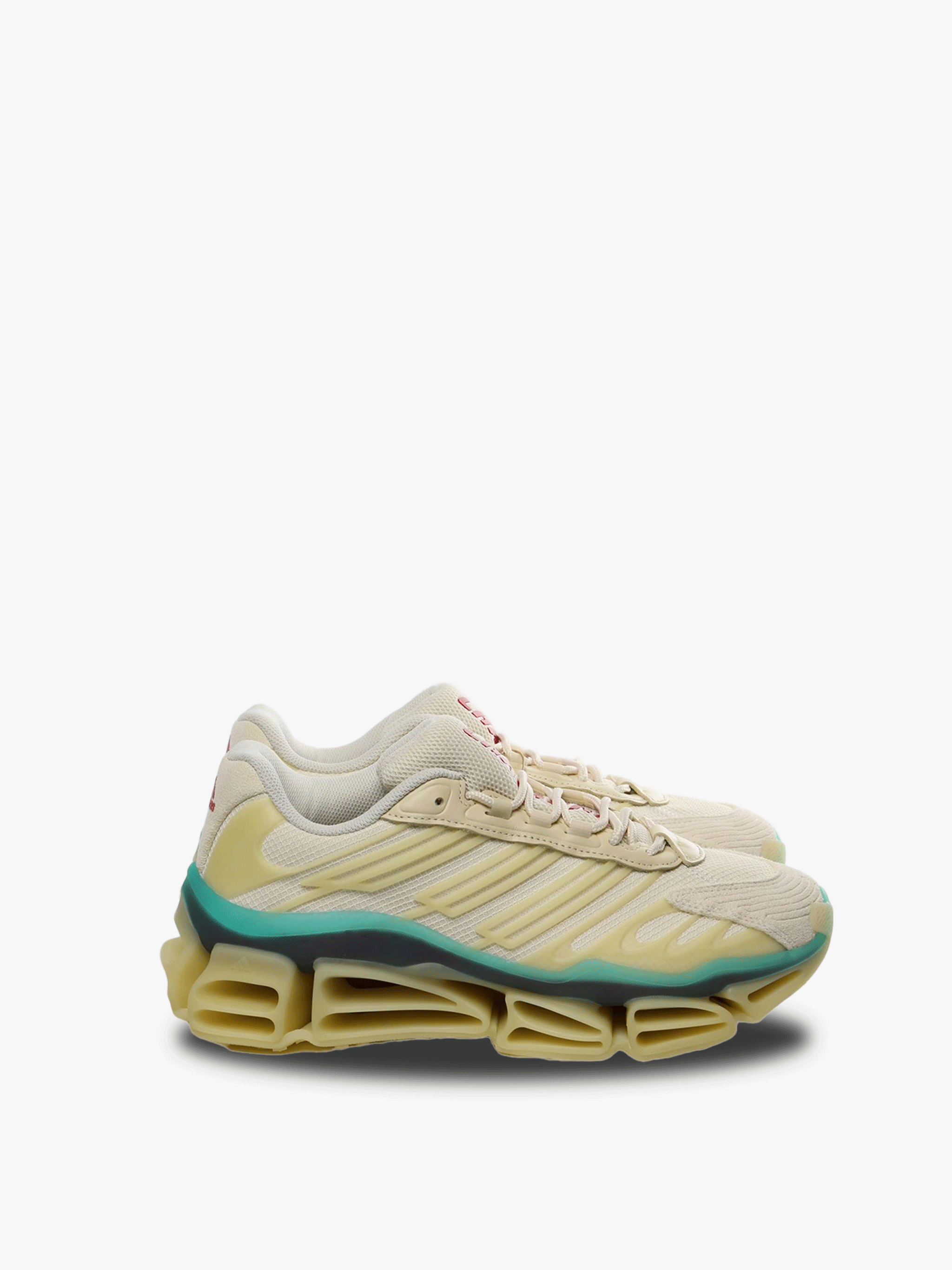 White sneakers, front view