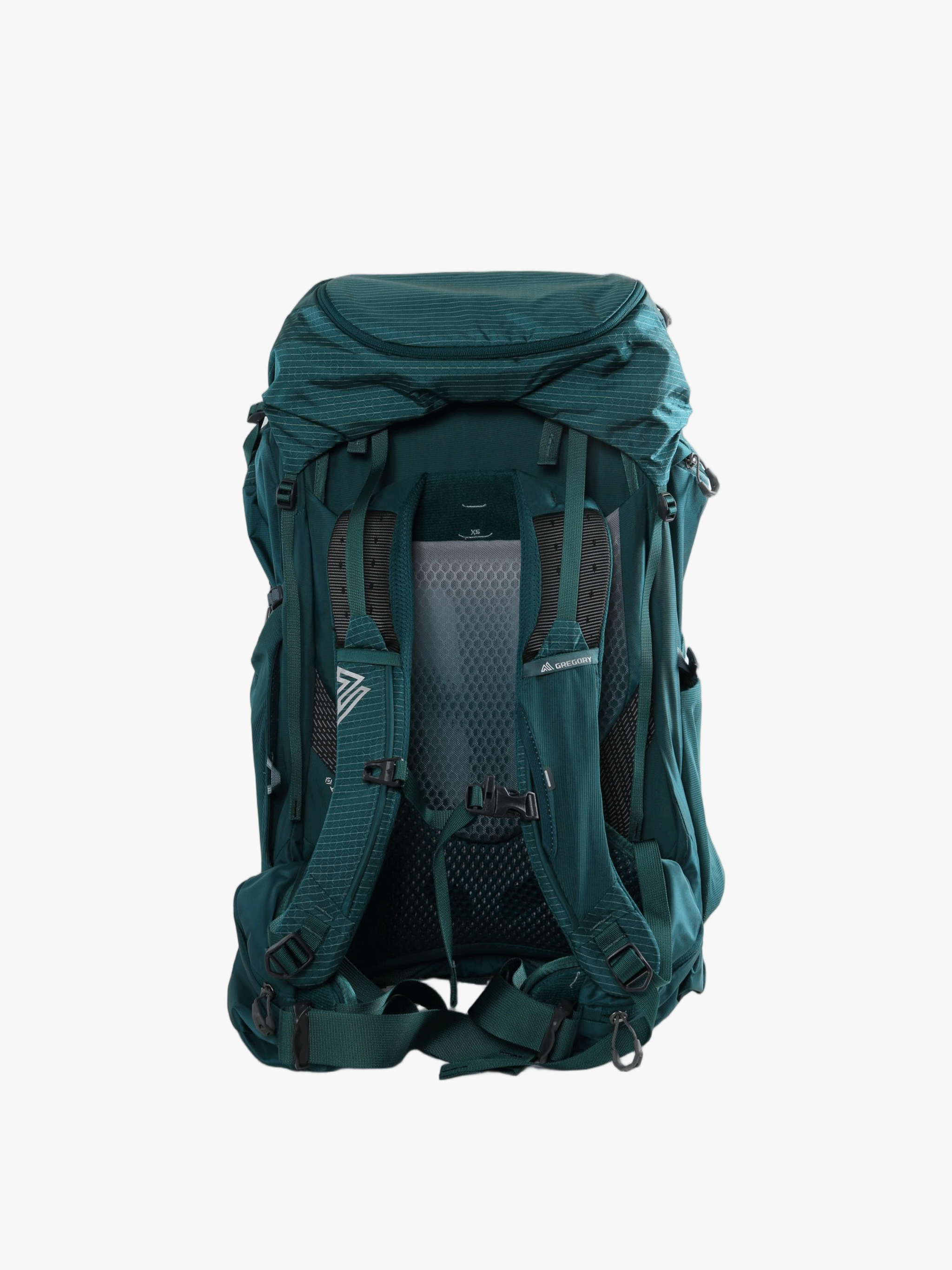Green bag, back view
