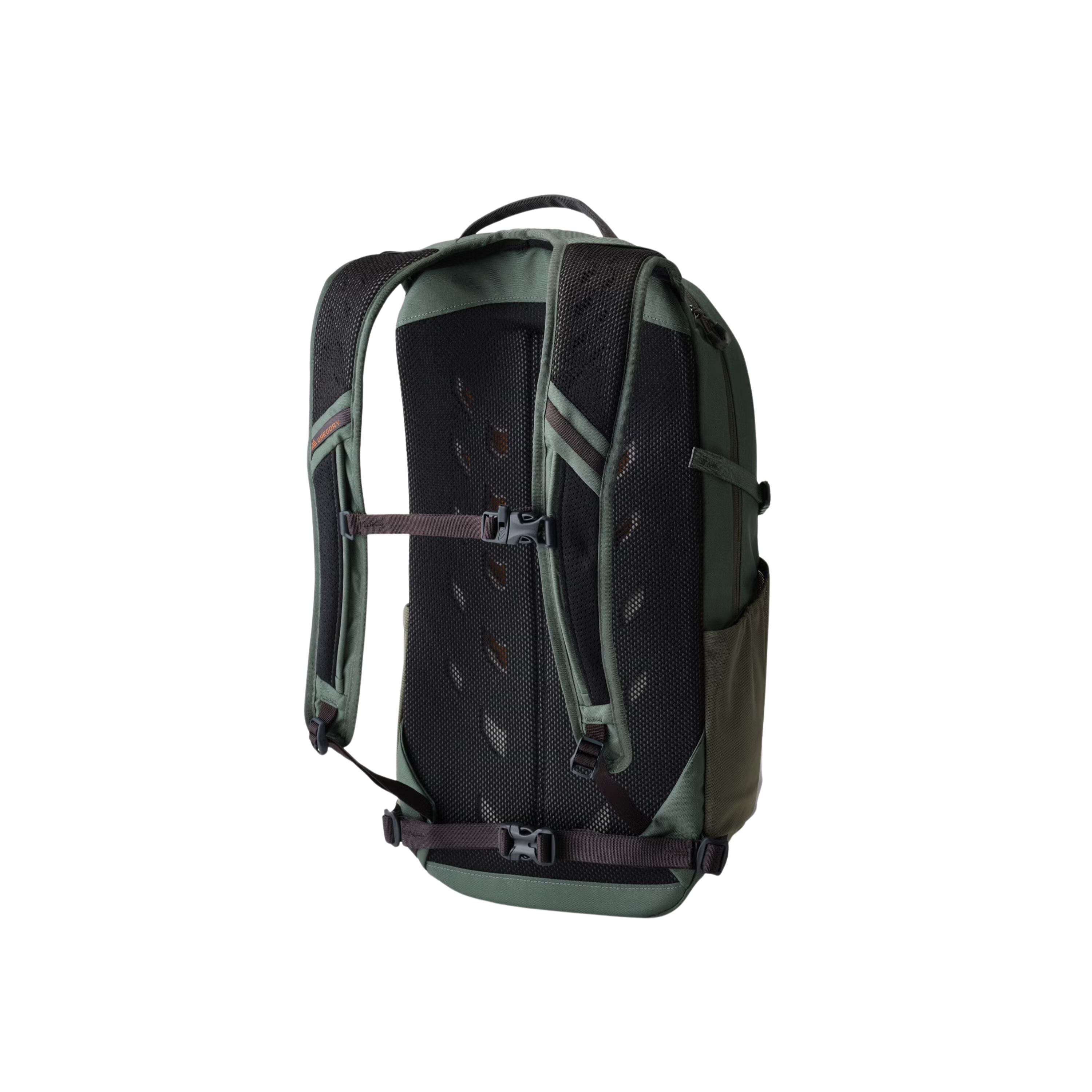 Green bag, back view