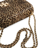 Brown bag, front view