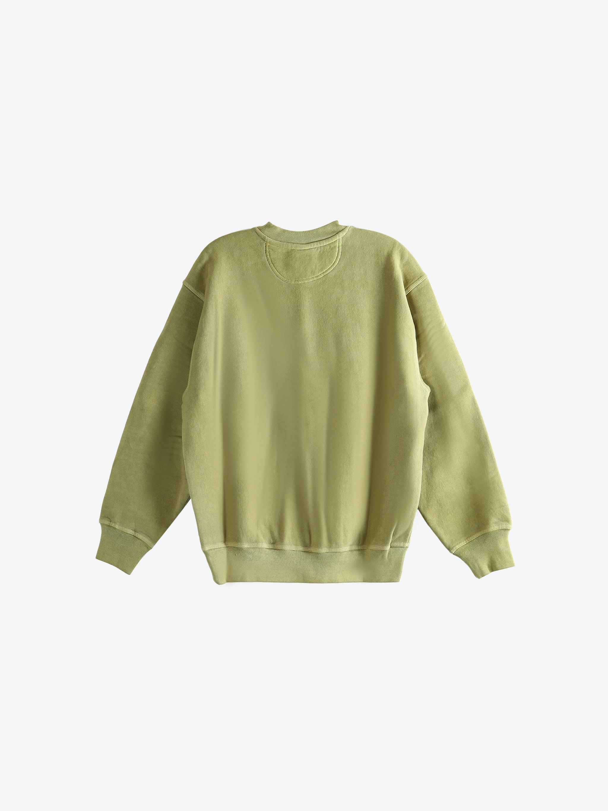 Light green sweatshirt ,back view