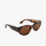 Brown eyewear, front view