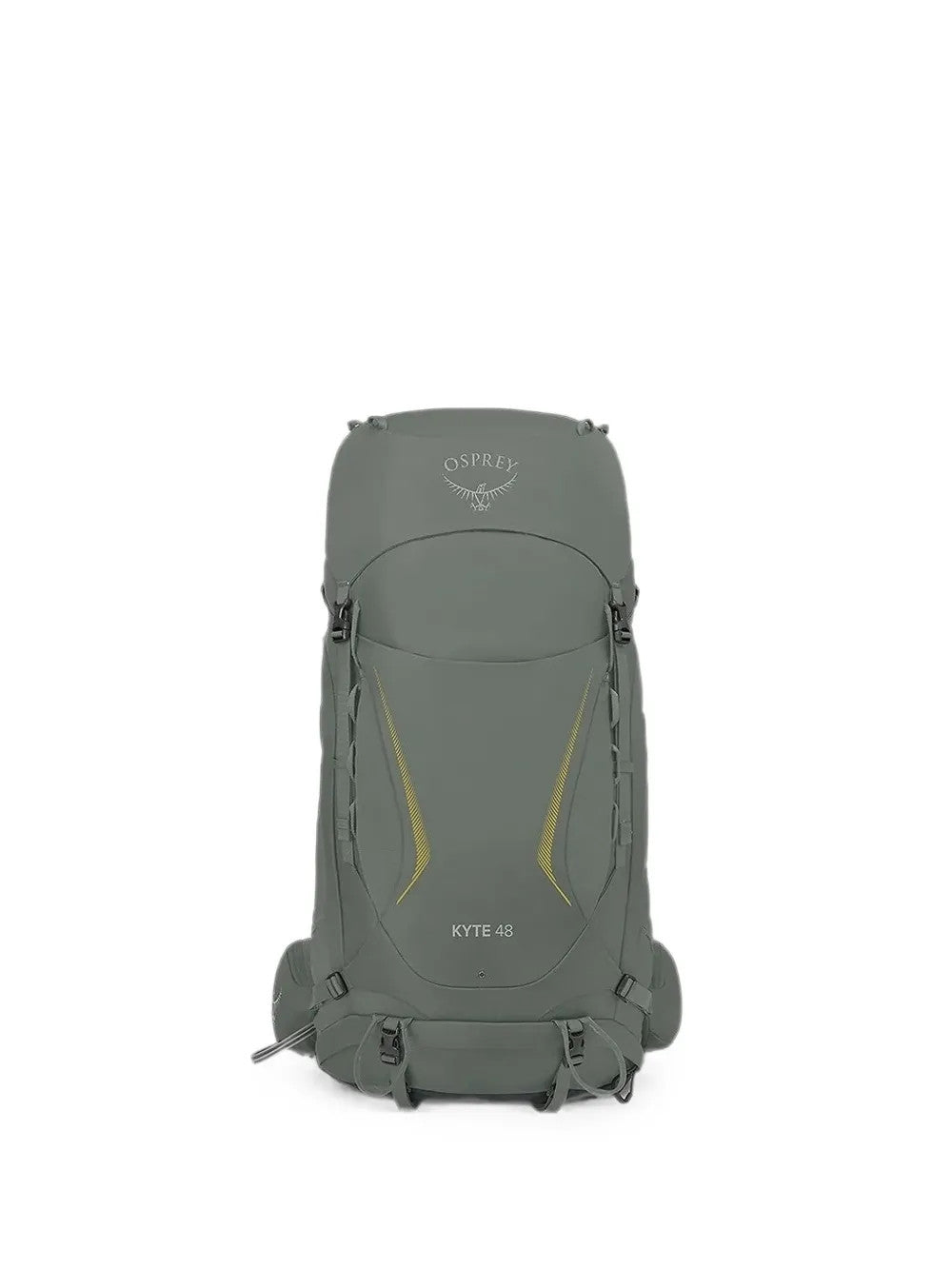 Green bag, back view