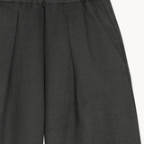 Grey pants, front view