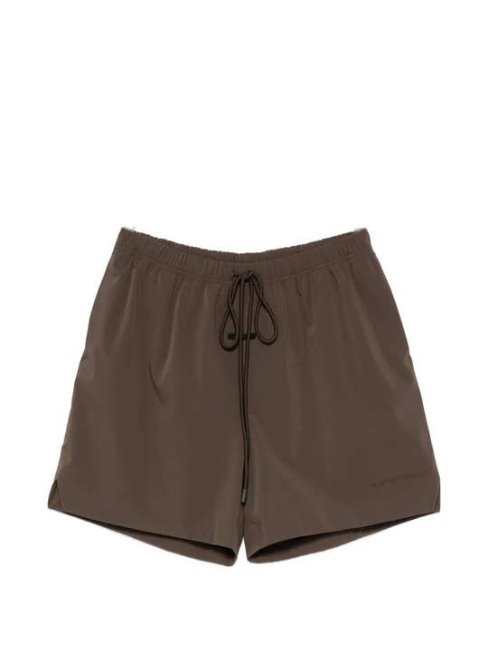 Brown shorts, front view