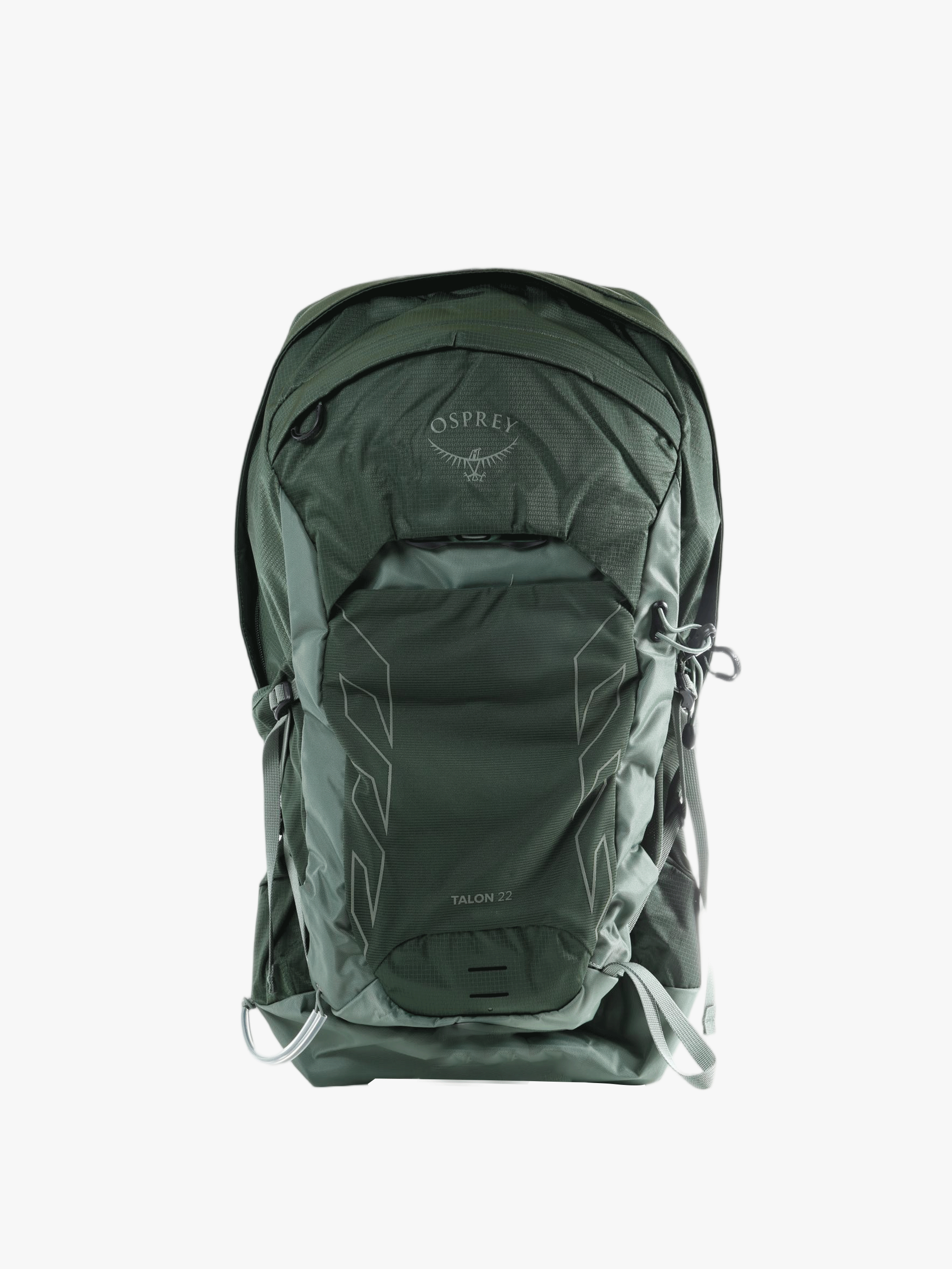 Green bag, back view