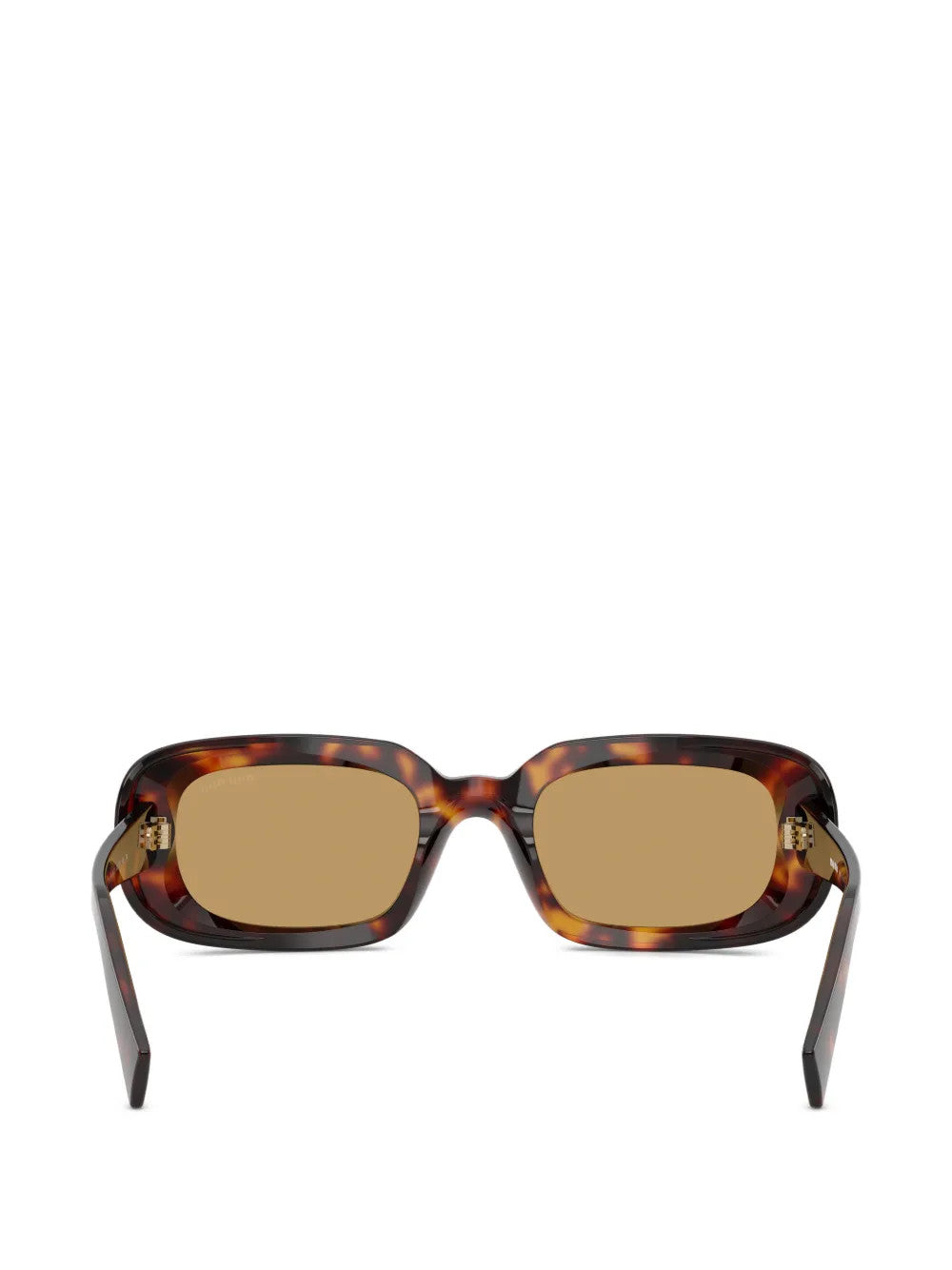 Brown eyewear, front view
