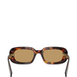 Brown eyewear, front view