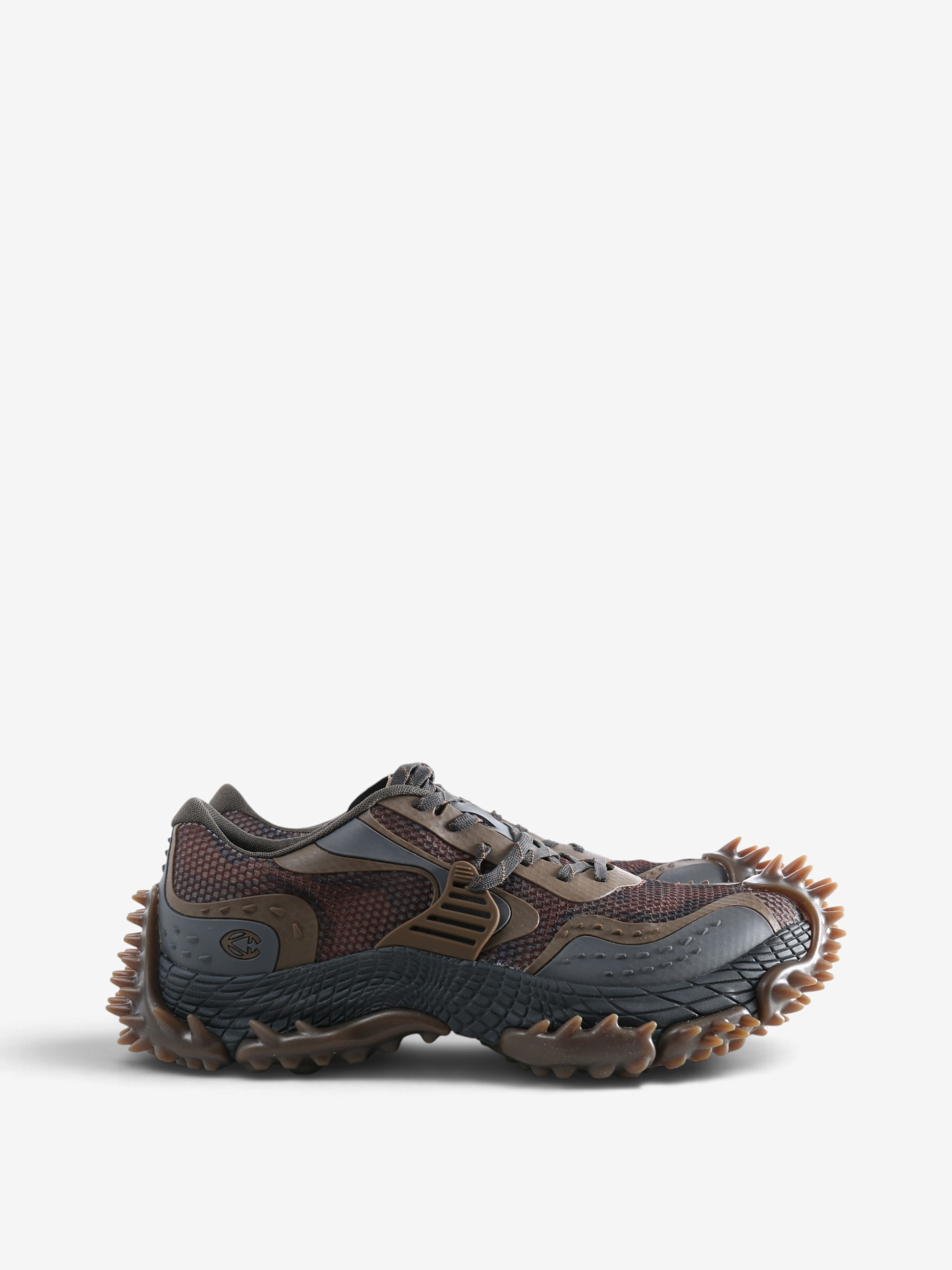 Brown shoes, side view
