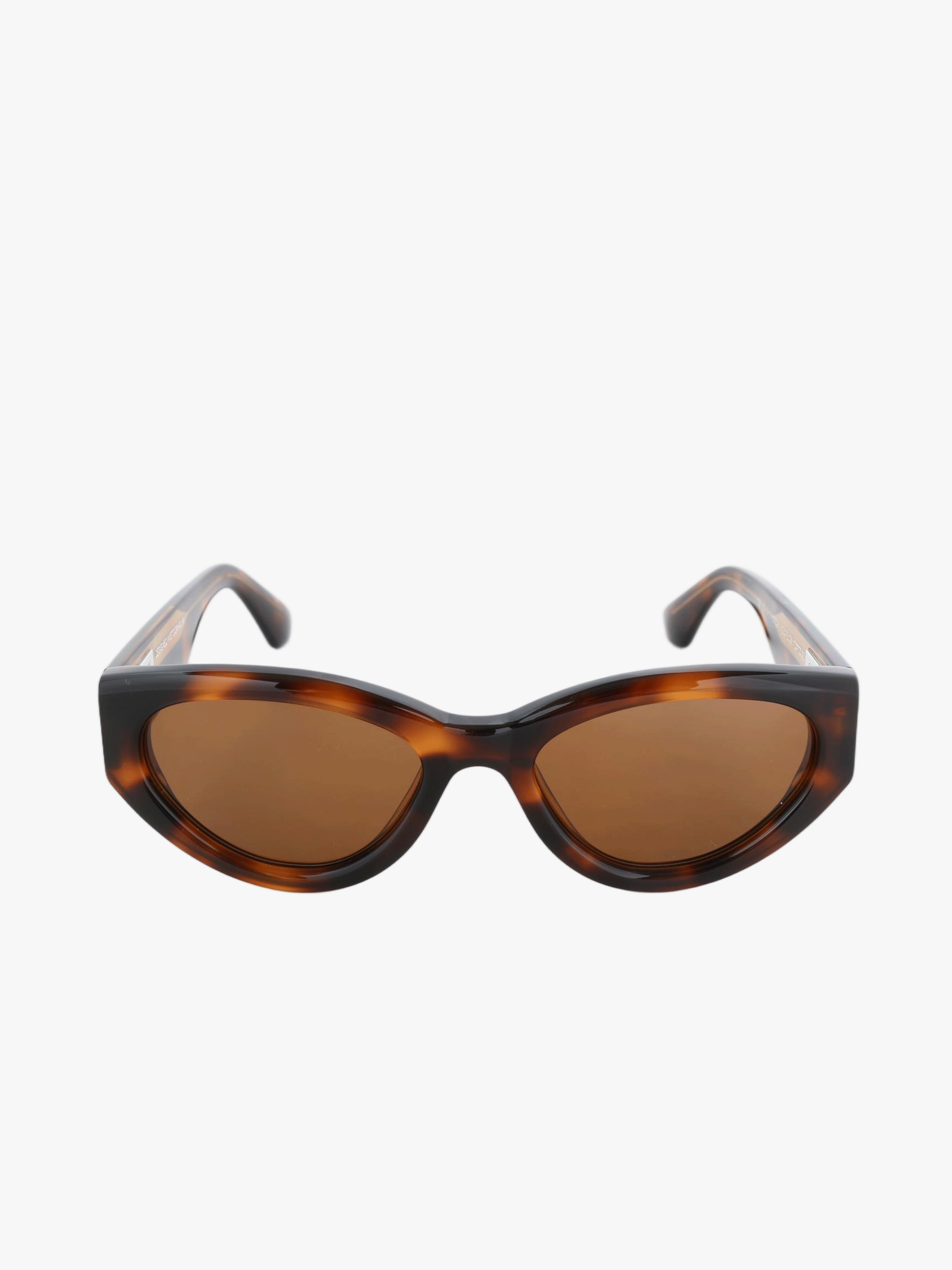 Brown eyewear, front view