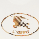 Close up of white t-shirt, showing texture of the cotton fabric