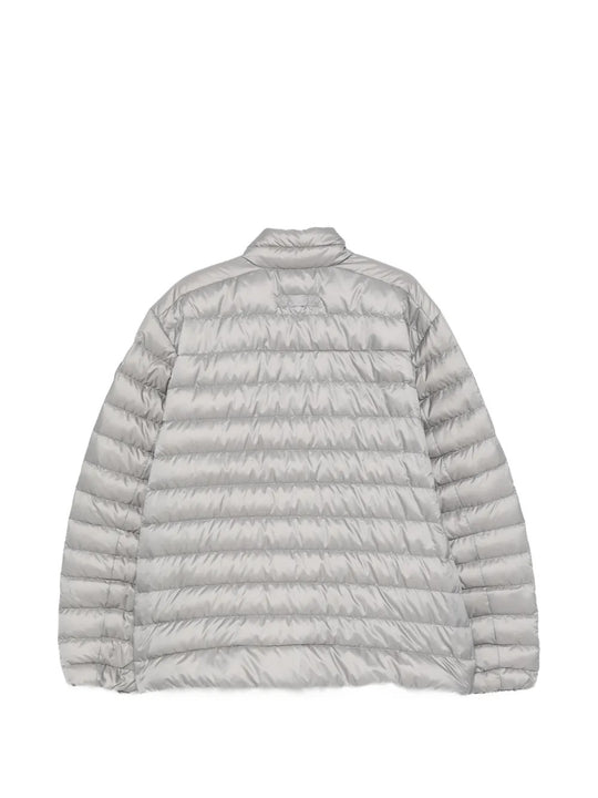 Grey jacket, back view