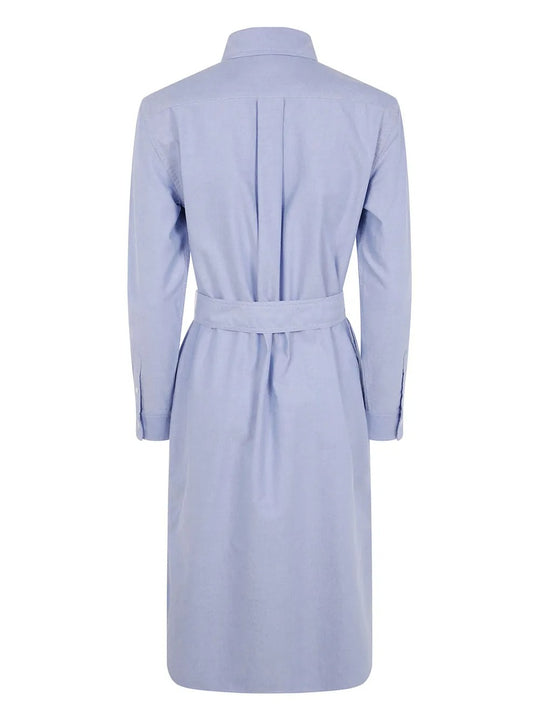Blue shirtdress, back view showing belted waist