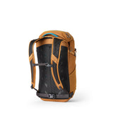 Tan bag, back view
