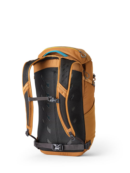 Tan bag, back view
