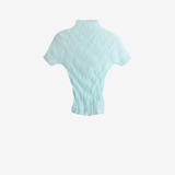 Blue shirt, back view