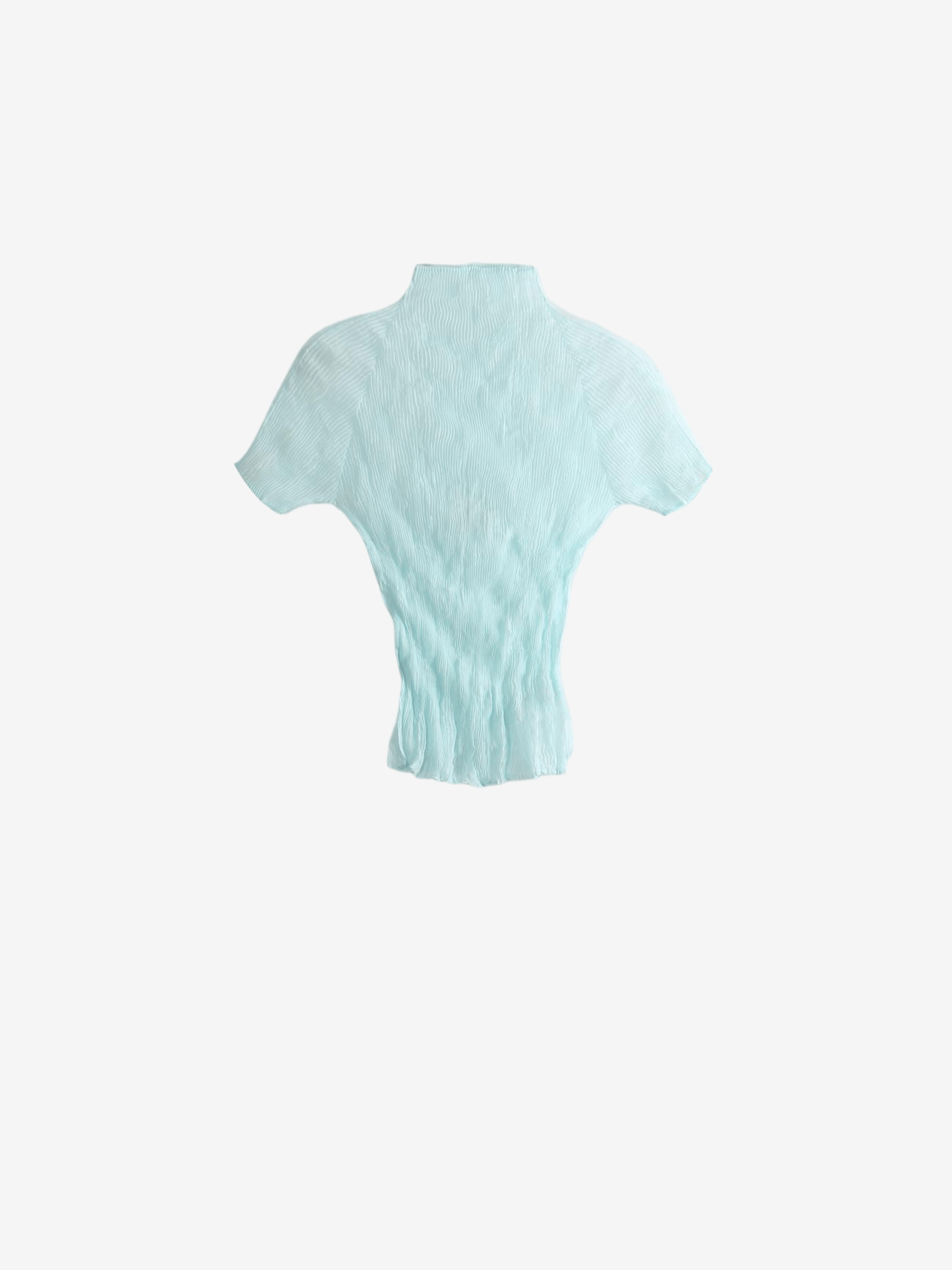 Blue shirt, back view