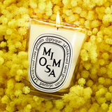 DIPTYQUE - Mimosa Classic Candle