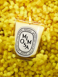 DIPTYQUE - Mimosa Classic Candle