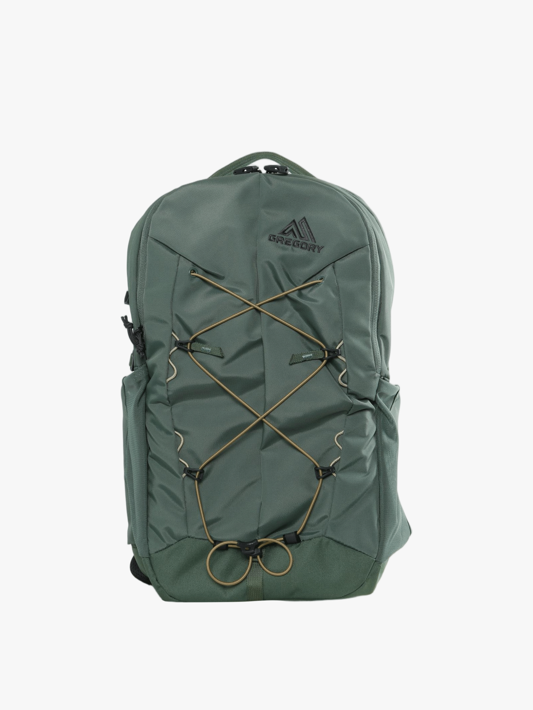 Green bag, back view