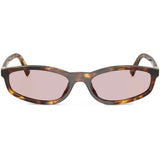 brown Sunglasses,front view