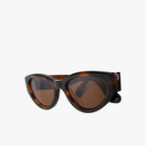 Brown eyewear, front view
