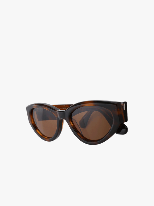 Brown eyewear, front view