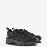 Black shoes, front view