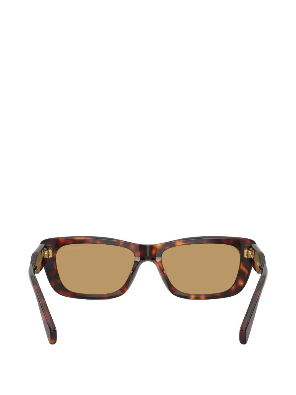 Brown eyewear, front view