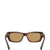 Brown eyewear, front view