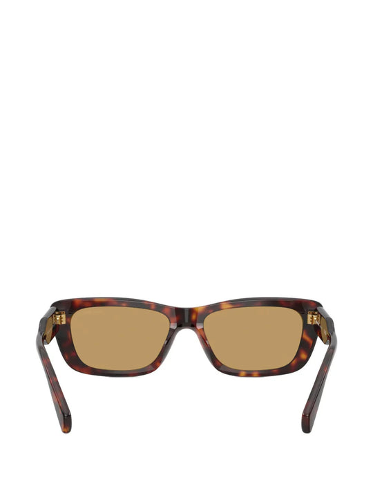 Brown eyewear, front view