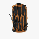 Brown bag, back view