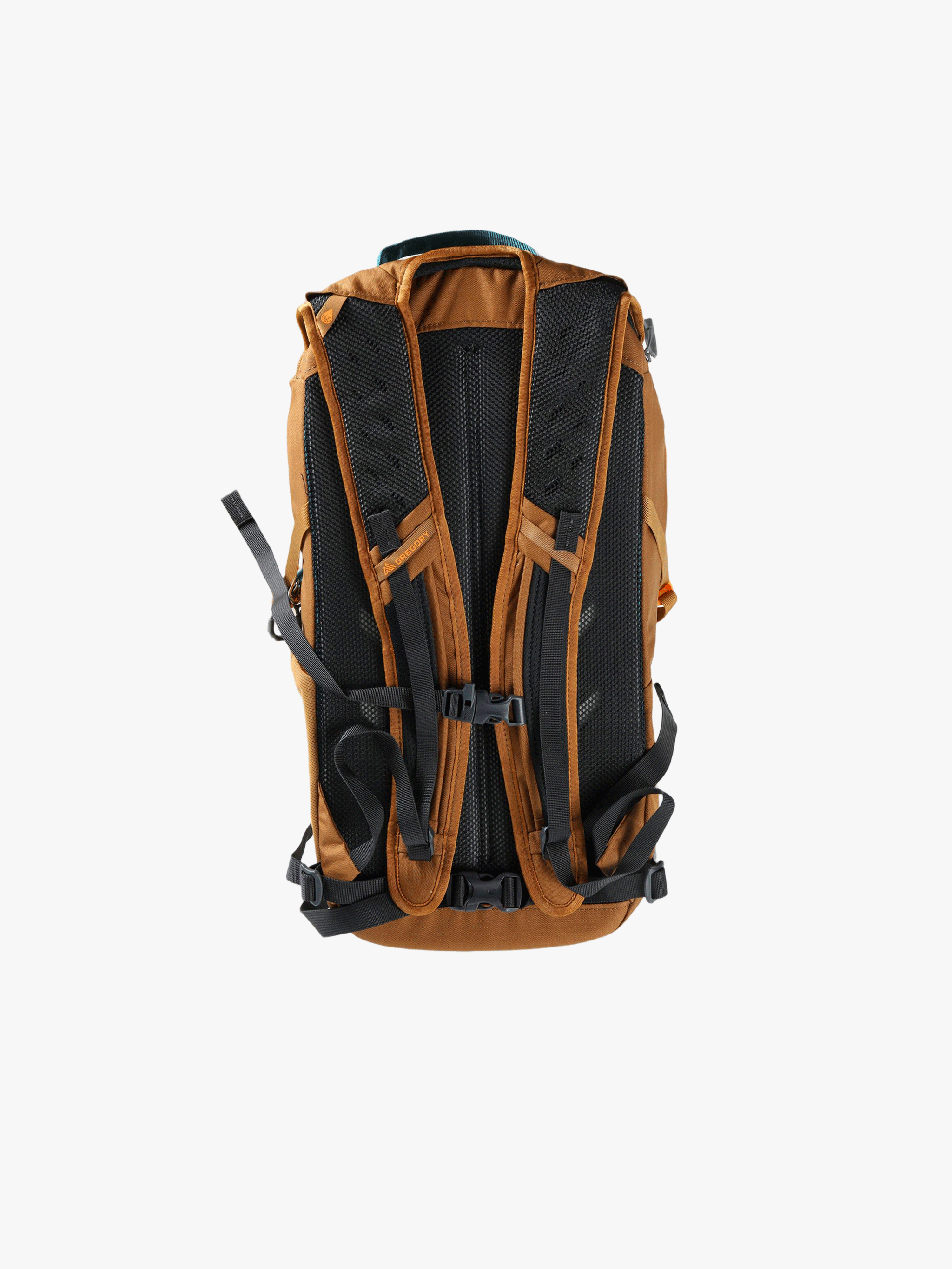 Brown bag, back view
