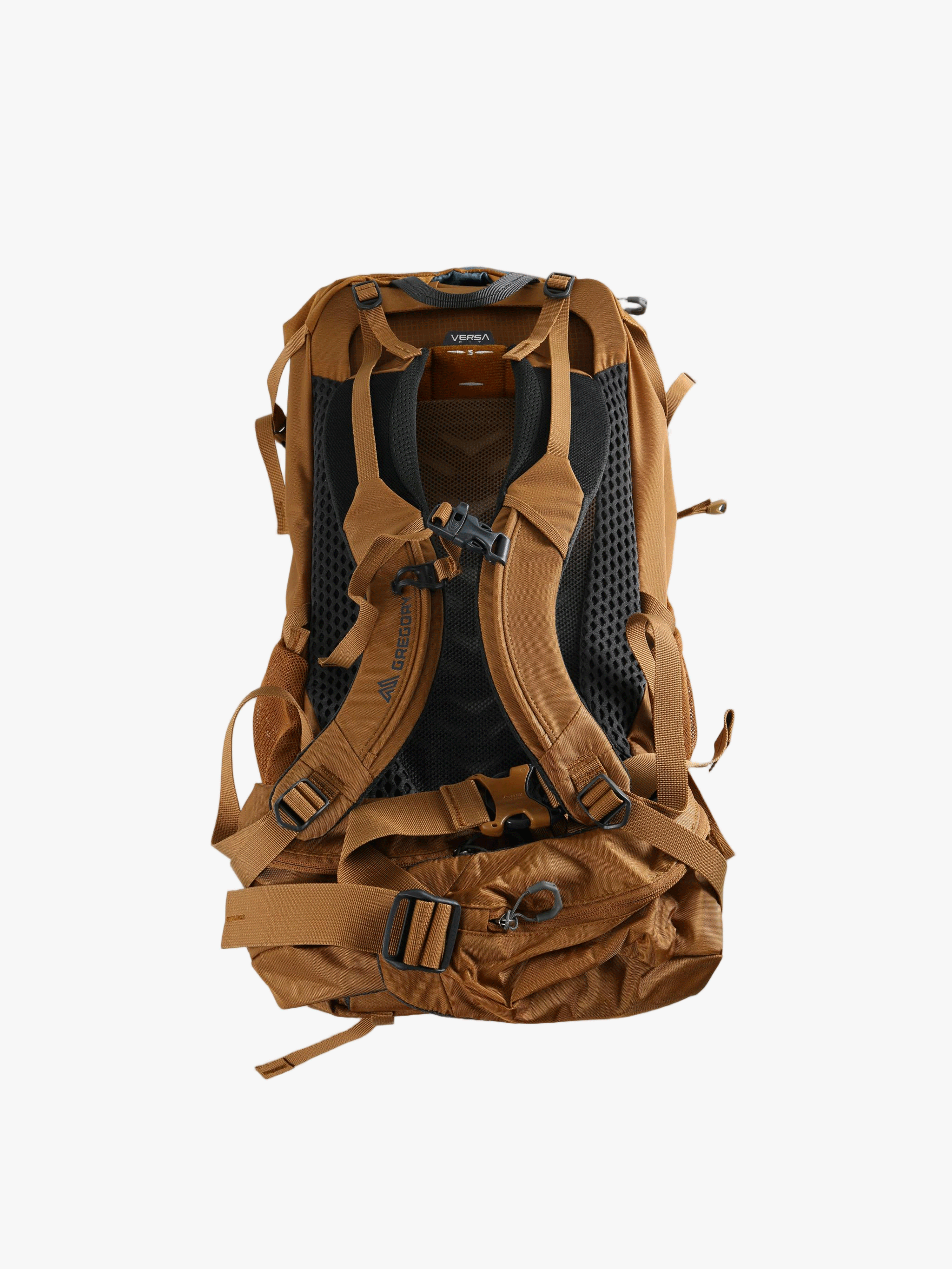 Brown bag, back view