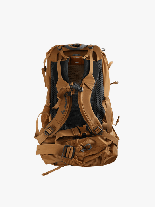 Brown bag, back view