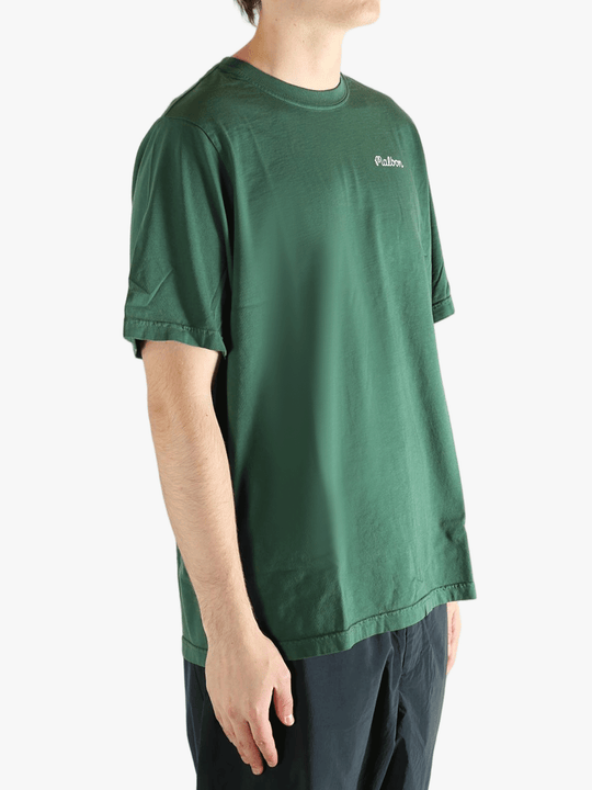 Green t-shirt worn by a person, showing the t-shirt fit